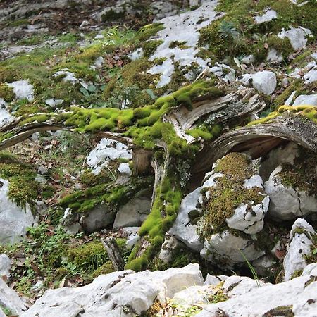 B&B Supramonte Orgosolo Zewnętrze zdjęcie